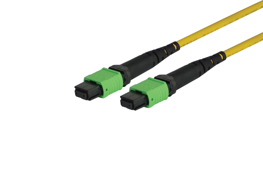 מגשר אופטי SM 12 סיבים 3-10 מ' MPO-MPO UPC מסוג B
